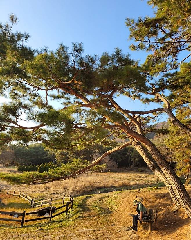 고인돌 군락. 사진|강석봉 기자