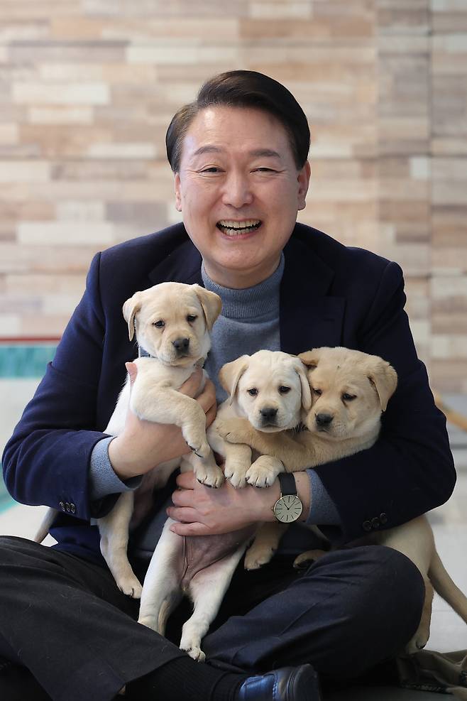 윤석열 대통령이 24일 경기 용인시 삼성화재 안내견학교에서 리트리버 강아지들을 살피고 있다. (대통령실 제공)