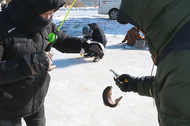 이달말부터 내년 3월1일까지 열리는 ‘자라섬 씽씽 겨울축제’는 송어잡기 행사를 비롯해 다양한 먹거리들도 만나볼 수 있다. /경기도 제공