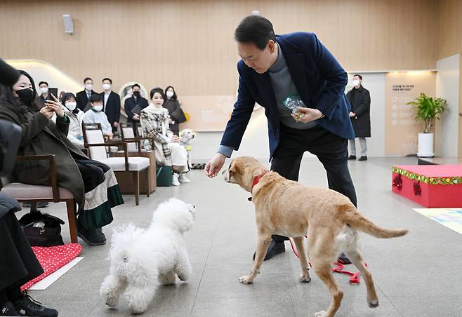 [서울=뉴시스] 윤석열 대통령이 24일 경기도 용인 삼성화재 안내견 학교에서 은퇴 안내견 새롬이와 반려견 써니에게 간식을 주고 있다. (사진=대통령실 제공) 2022.12.24. photo@newsis.com *재판매 및 DB 금지