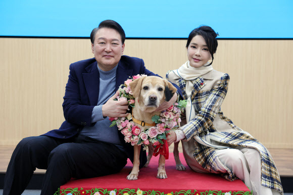 윤석열 대통령과 김건희 여사가 24일 경기도 용인 삼성화재 안내견 학교에서 분양받은 은퇴 안내견 ‘새롬이’와 기념사진을 찍고 있다. 2022.12.24 연합뉴스