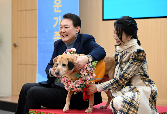 윤석열 대통령과 김건희 여사가 24일 경기도 용인 삼성화재 안내견 학교에서 분양받은 은퇴 안내견 ‘새롬이’와 기념사진을 찍고 있다. 2022.12.24 연합뉴스