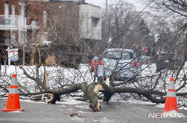 [몬트리올=AP/뉴시스]겨울 폭풍이 몰아친 후 24일(현지시간) 캐나다 몬트리올에서 떨어진 나뭇가지들이 거리를 막고 있다. 2022.12.24.