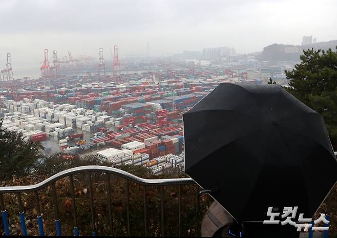 부산항 신선대와 감만부두에서 컨테이너 하역작업이 진행되는 모습. 연합뉴스