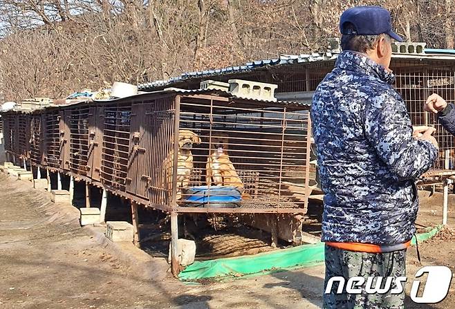 한국HSI는 8일 충남 아산의 한 개농장에서 농장주(사진)를 설득해 농장을 폐쇄하고 개들을 구조했다. ⓒ 뉴스1 최서윤 기자