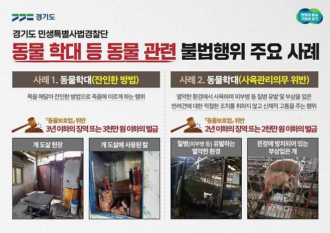 동물학대 등 동물 관련 불법행위 사례 그래픽. 자료=경기도청 제공