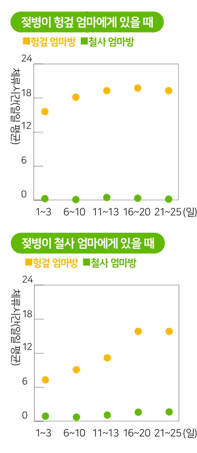 젖병이 헝겊 엄마에게 있을 때와 철사 엄마에게 있을 때 각각 4마리 원숭이가 머문 평균 시간. 젖병이 철사 엄마에게 있을 때라도 원숭이들이 헝겊 엄마에게 머무는 시간이 압도적으로 많다. 그래픽=송정근 기자