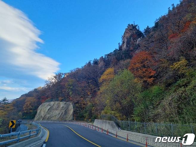 본격 가을 단풍 절정이 시작된 21일 강원 인제와 양양을 잇는 국도 44호선 일대에 단풍이 물들고 있다.(사진은 기사와 관계 없음) 2022.10.21/뉴스1 ⓒ News1 윤왕근 기자