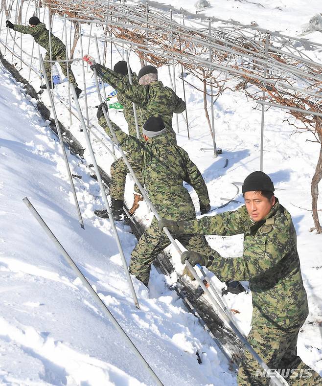 [담양=뉴시스] 변재훈 기자 = 육군 제11공수특전여단 부대원들이 27일 전남 담양군 가사문학면 구산리 포도 재배 하우스에서 폭설 피해로 주저 앉은 시설물을 해체하고 있다. 지난 22일부터 24일 사이 담양에서는 최고 25.9cm의 눈이 쌓여 농작 시설·축사 피해 등이 잇따랐다.  2022.12.27. wisdom21@newsis.com