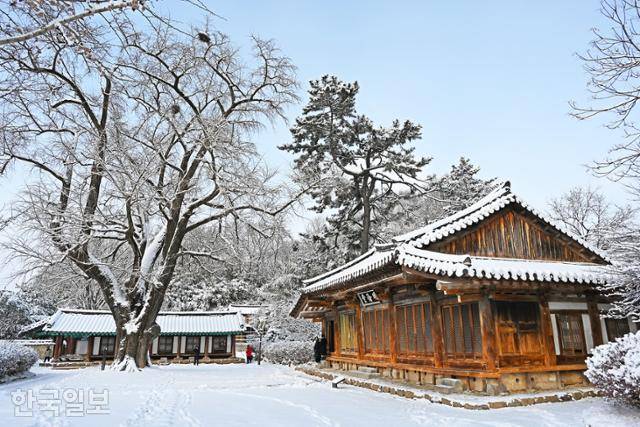 전주향교 설경. 명륜당 앞에 400년이 넘은 커다란 은행나무가 자라고 있다.