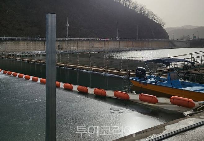 화천 산천어 축제장 중앙부