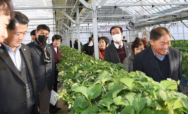 구인모 경남 거창군수는 군의원과 함께 청년경영 실습 임대농장을 방문했다.