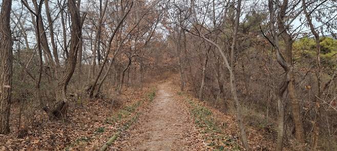 역사적인 길. 김용민 해설사 제공