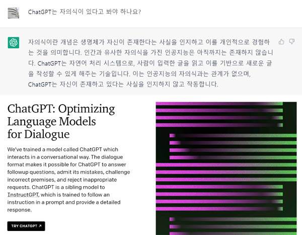 챗GPT에서 오간 질문과 답변(위) 챗GPT를 소개하는 오픈AI의 홈페이지 / 화면캡처