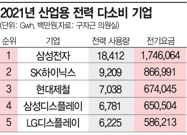 2021년 기준 산업용 전력 다소비 기업 5위권 목록표. 삼성전자와 SK하이닉스는 수년간 1, 2위를 차지하고 있다.