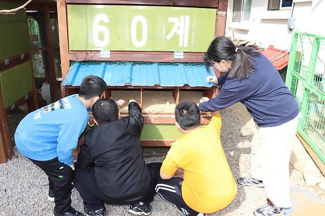 전북 부안 백련초등학교 학생들이 달걀을 수거하고 있다. 전북교육청 제공