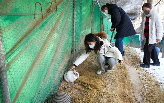 배봉산 유아숲체험장 토끼사육장 토끼들의 상태를 살피는 목윤서·강윤서 학생기자·이래나 학생모델(왼쪽부터).