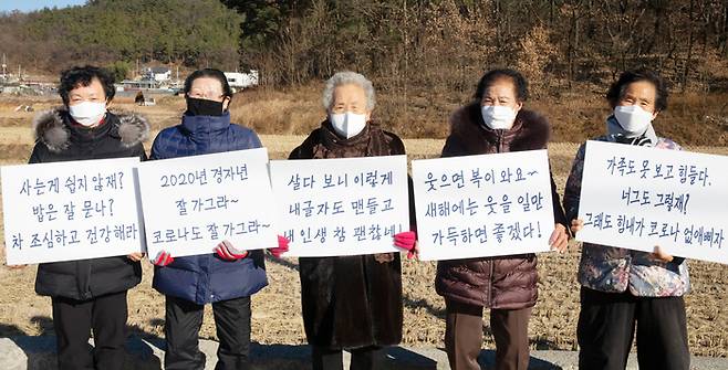 칠곡할매글꼴의 원작자들이 자신의 글씨체가 쓰인 손팻말을 들고 기념촬영을 하고 있다. 왼쪽부터 권안자(79), 이원순(86), 추유을(89), 김영분(77), 이종희 할머니(81). 칠곡군 제공