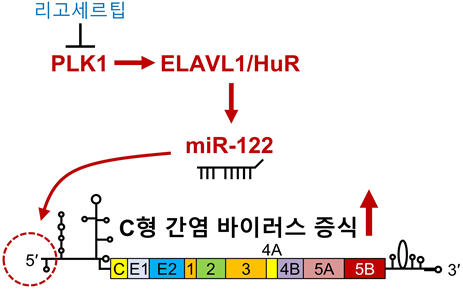 국립암센터 제공