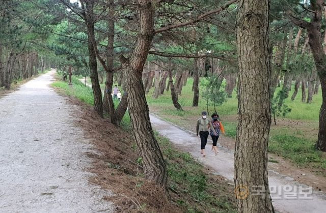 경북 포항시 북구 흥해읍에 있는 북천수 맨발로. 포항시 제공