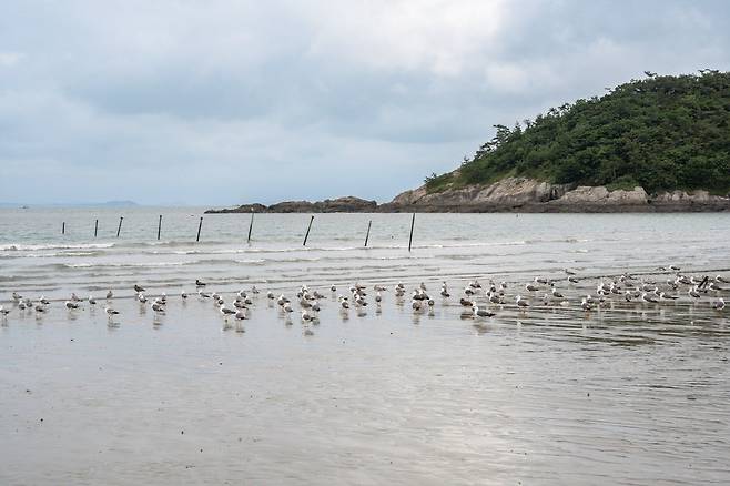갈매기들의 안식처, 용난굴해변