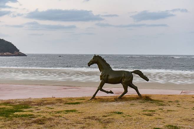 단단한 백사장에서의 승마는 색다른 체험거리다