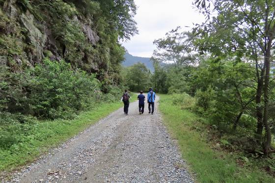 전북 진안군 부귀면 세동리와 완주군 소양면 월상리를 잇는 현재의 웅치, 곰티재에는 임진왜란 당시 수많은 인명이 묻혔지만 지금은 트레킹 장소로 인기다. 김홍준 기자