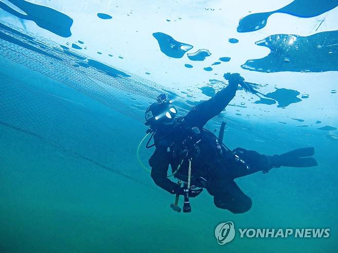 화천산천어축제 낚시터 얼음두께 수중 점검 [화천군 제공.재판매 및 DB 금지]