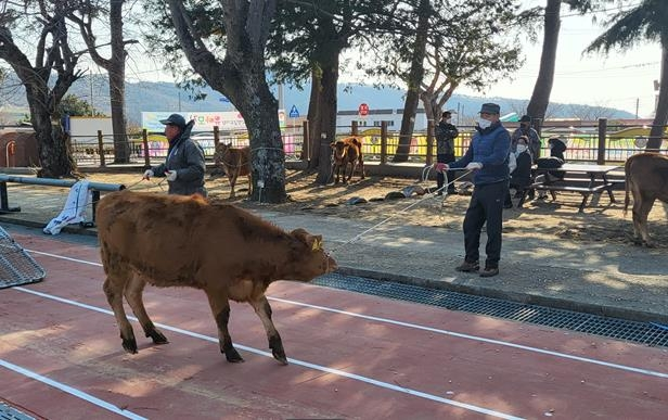 완도화흥초 졸업 선물. 연합뉴스