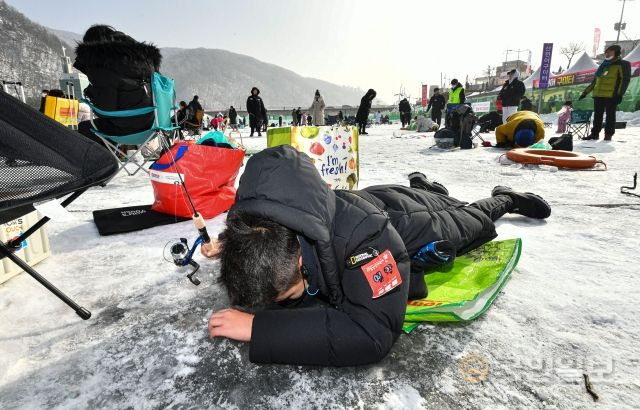 8일 강원도 화천군에서 개막 이틀째를 맞은 '2023 얼음나라 화천산천어축제'(산천어축제)에서 한 어린이가 엎드린 채 낚시하고 있다.