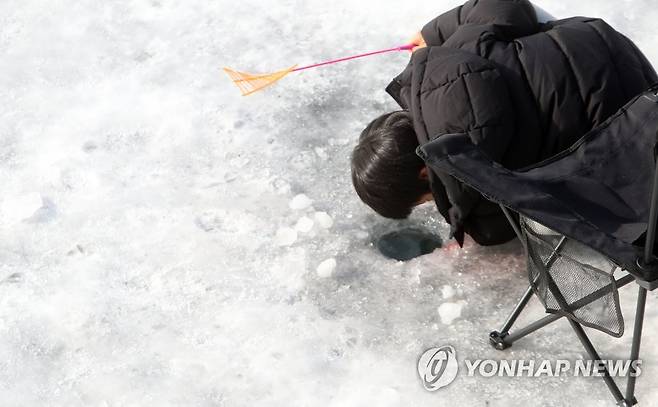 '어디에 있니' 산천어 삼매경에 빠진 꼬마 강태공 (화천=연합뉴스) 이상학 기자 = 3년만에 열리게 된 화천산천어축제 개막 이틀째를 맞은 8일 오후 강원 화천군 화천천 축제장을 찾은 어린이가 낚시를 즐기고 있다. 2023.1.8 hak@yna.co.kr