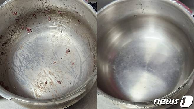 종이 수세미로 닦은 밥솥의 전후 모습.  ⓒ 뉴스1 김예원 기자