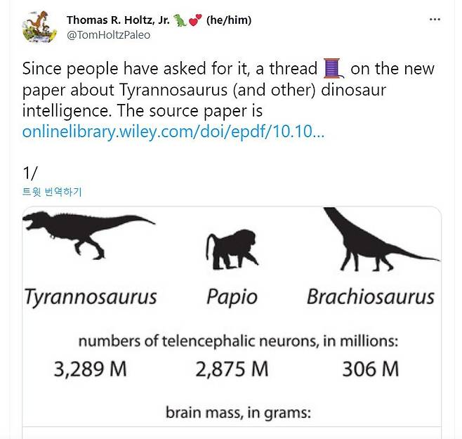 트위터에 올라온 공룡 연구 논문. 티라노사우루스의 대뇌피질의 신경세포가 개코원숭이보다 많았다는 내용을 두고 인터넷에서 논쟁이 벌어졌다./트위터 캡처
