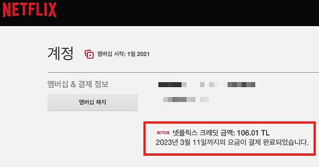 넷플릭스 튀르키예 계정이 우회 접속을 통해 국내에서 이용 중인 모습. /조선비즈 DB