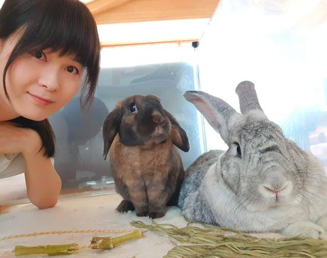 서유진씨와 반려토끼 초코(가운데) 우유. 서유진씨 제공