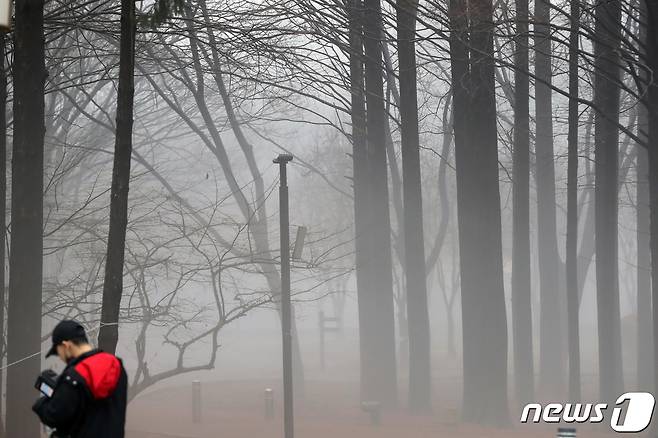 겨울비가 내리고 소강상태를 보인 13일 오후 서울 서초구 양재시민의 숲 문화예술공원에 안개가 짙게 끼어있다. 2023.1.13/뉴스1 ⓒ News1 황기선 기자