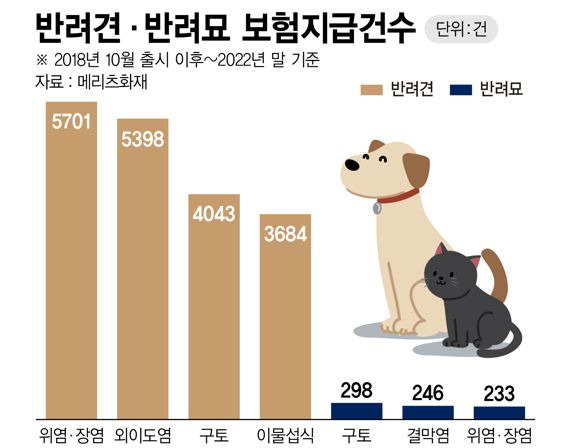 반려견·반려묘 보험지급건수 /그래픽=정기현 기자