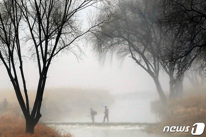 도심 하천에 안개가 짙게 끼어있다. 2023.1.13/뉴스1 ⓒ News1 황기선 기자