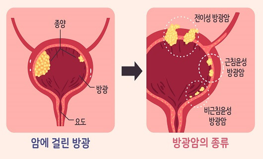 출처: 게티이미지 뱅크