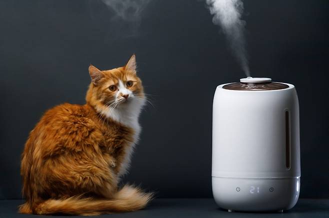 [사진 = 게티이미지뱅크]