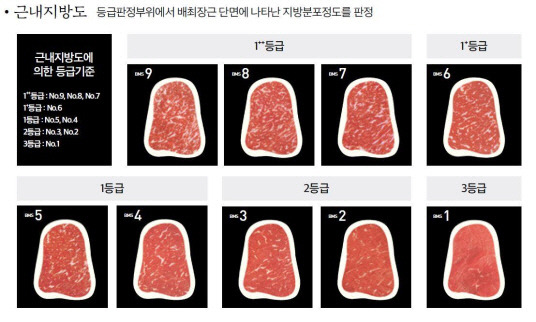 소고기 근내지방도 판정 기준. 농촌진흥청 제공