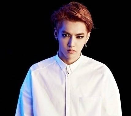 엑소 크리스. 사진 ㅣ스타투데이DB