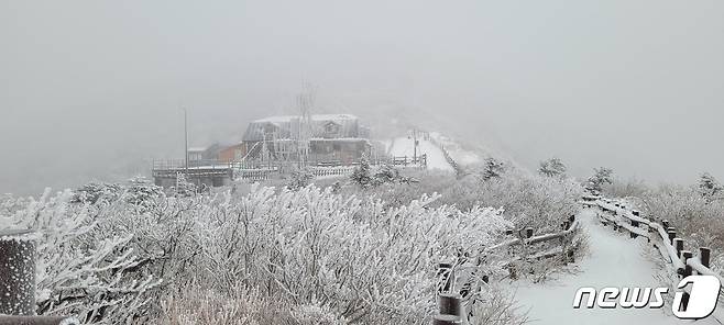 강원 전역에 대설특보가 내려진 15일 설악산국립공원 일대에 눈이 쌓여 있다.(설악산국립공원 사무소 제공) 2023.1.15/뉴스1 ⓒ News1 윤왕근 기자