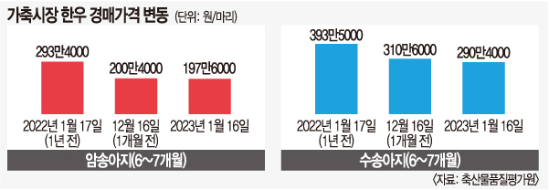 (축산물품질평가원 제공)