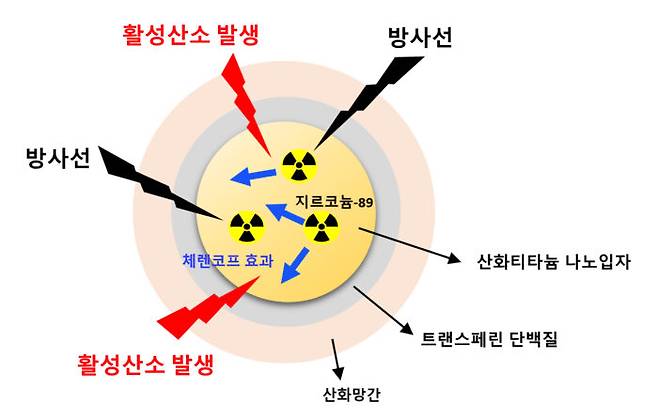 지르코늄-89가 도입된 티타늄-망간 나노입자 항암제 구조 [자료=한국원자력연구원]