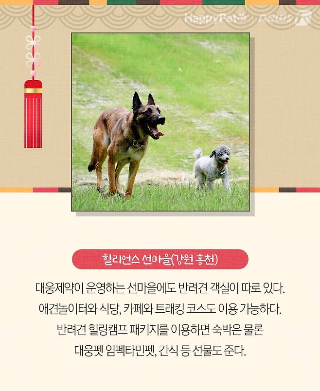 펫카드 설 명절