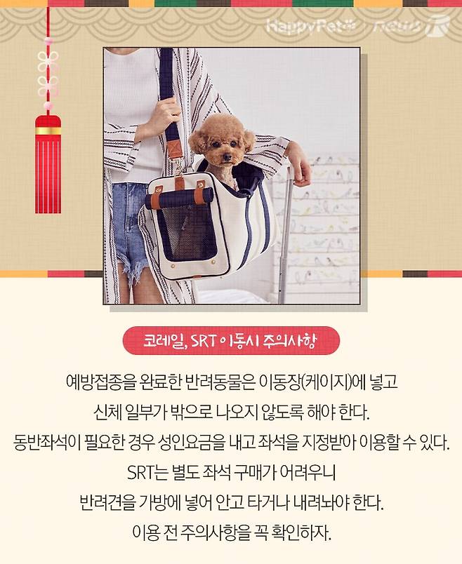 펫카드 설 명절