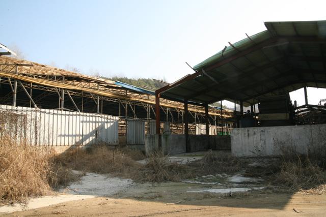 양돈축사 전경. 기사 내용과 관계 없음. 한국일보 자료사진