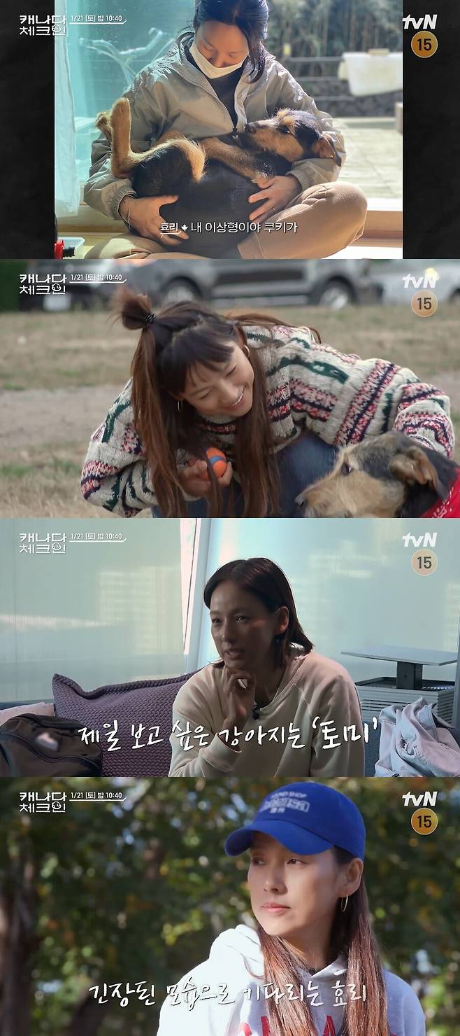 ▲ 출처| tvN 예능프로그램 '캐나다 체크인' 예고 영상 캡처