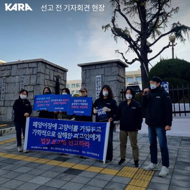 19일 오전 대구고등법원 앞에서 동물권행동 ‘카라’ 활동가들이 ‘폐양어장 고양이 학대사건’ 범인의 엄벌을 촉구하는 기자회견을 열었다. 동물권행동 카라 제공
